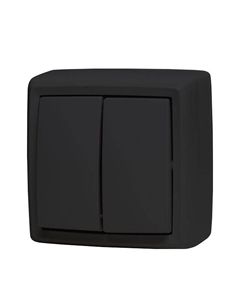 Выключатель 2-клавишный DRESDEN 10А черный Нет марки