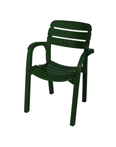 Кресло Далгория 60х44х83см темно-зеленый пластик Нет марки