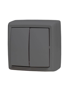 Выключатель 2-клавишный DRESDEN 10А серый Нет марки