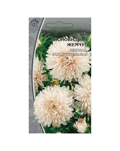 Семена Астра Жемчуг 0,2 г Нет марки