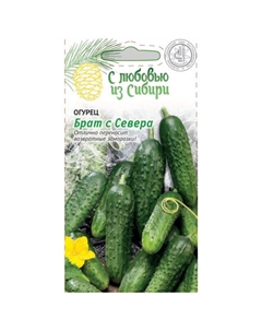 Семена огурец Брат с Севера 0,25 г Нет марки