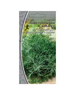 Семена укроп Нижегородская ярмарка 2 г Нет марки