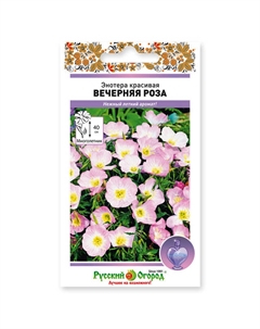Семена цветы Энотера красивая Вечерняя роза 210шт Нет марки