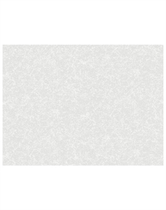 Обои бумажные гофрированные 10,05х0,53м, арт.С14 843-06 Нет марки