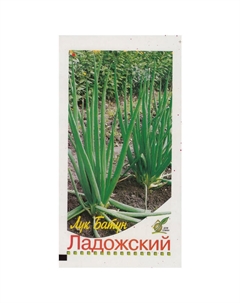 Семена Лук батун Ладожский 235шт Нет марки