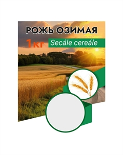 Семена сидератов рожь озимая 1кг Нет марки