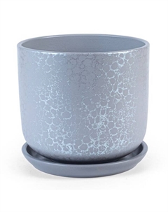Горшок керамический с поддоном Питон 0,8л d12см h10,5см цилиндр серый Нет марки