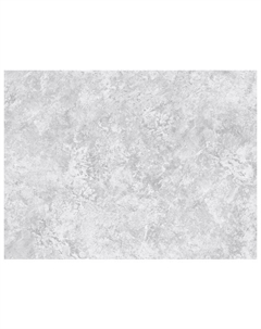 Обои виниловые на флизелиновой основе 10,05х1,06м, арт.10210 Нет марки