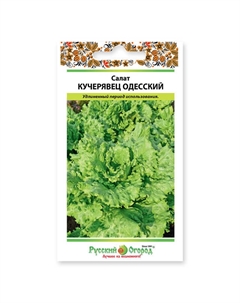 Семена салат кочанный Кучерявец одесский 1 г Нет марки