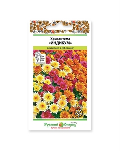 Семена хризантема индийская индикум смесь 50 шт Нет марки