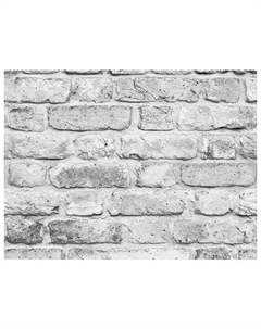 Обои бумажные дуплекс 10,05х0,53м, арт.С6 д886-06 Нет марки