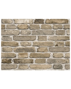 Обои бумажные дуплекс 10,05х0,53м, арт.С6 д886-05 Нет марки