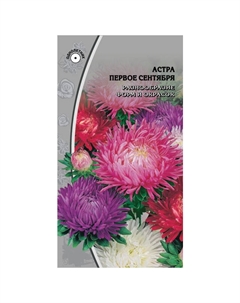 Семена Астра Первое Сентября 0,2 гр Нет марки