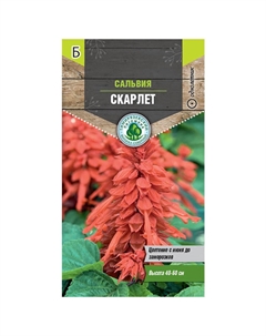 Семена сальвия Скарлет 0,1г Нет марки