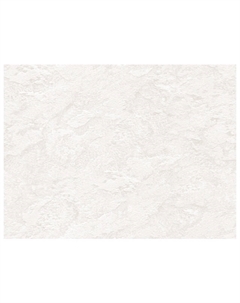 Обои бумажные дуплекс 10,05х0,53м, арт.В64,4 859-01 Нет марки