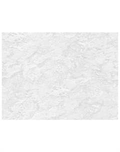 Обои бумажные дуплекс 10,05х0,53м, арт.В64,4 859-10 Нет марки