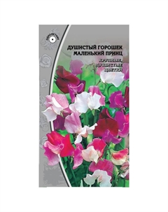 Семена Душистый горошек Маленький принц 0,5г Нет марки