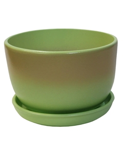 Горшок керамический с поддоном Шар 1,65л d17см бежево-зеленый градиент Нет марки