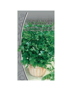 Семена петрушка Пышная особа 2г Нет марки