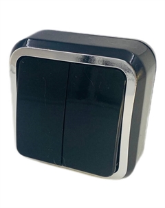 Выключатель 2-клавишный Dresden 6А черный/серебро Нет марки