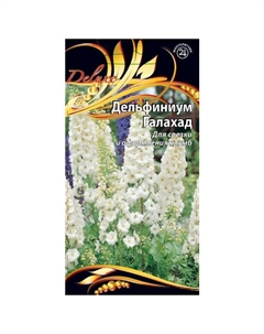 Семена Дельфиниум Галахад 0,1г Нет марки
