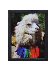 Фоторамка ФРЕЙМ 100х150 мм черная дерево багет 7N Нет марки