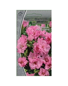 Семена Годеция Майден Блаш 0,3г Нет марки