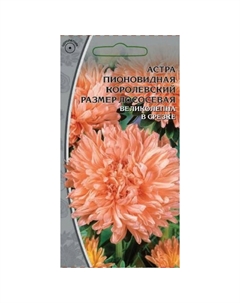 Семена Астра пионовидная Королевский размер лососевая 0,2г Нет марки