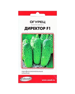 Семена Огурец Директор F1 6шт Нет марки
