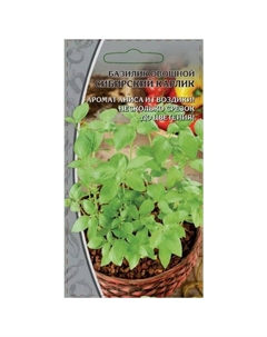 Семена Базилик Сибирский карлик 0,5г Нет марки