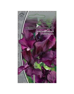 Семена Горошек темно-пурпурный 0,5г Нет марки