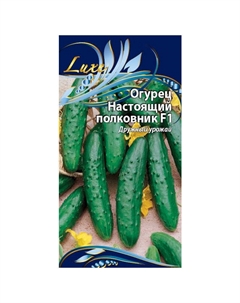 Семена огурец Настоящий полковник F1 0,25г Нет марки