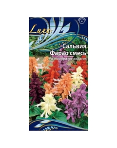 Семена Сальвия Фарао смесь 0,05г Нет марки