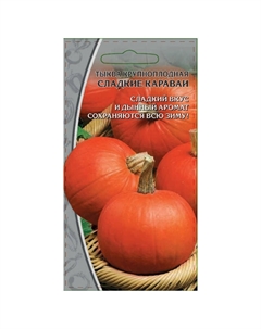 Семена тыква Сладкие караваи крупноплодная 2г Нет марки