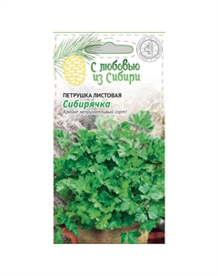 Семена петрушка Сибирячка Сибирская серия 2г Нет марки