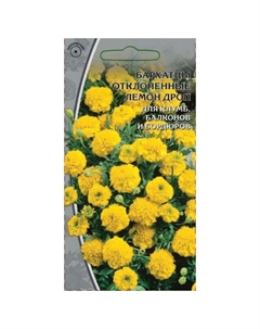 Семена Бархатцы Лемон Дроп 0,5г Нет марки