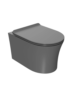 Унитаз подвесной Вега PN41711GM безободковый, быстросъемное тонкое сиденье с микролифтом, серый матовый Point