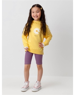 Бриджи Crockid