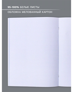 Тетрадь а4, 48 листов в клетку Calligrata