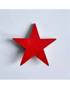 Брошь Серебряная звезда Xenia dukova