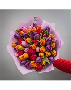 Букет 51 тюльпан микс Пять цветов