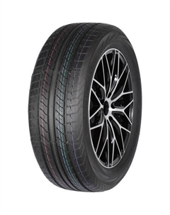 Шины 225/55 R17 CW-20 109/107H Nankang