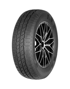 Шины 215/70 R15 WinterPro EW616 113/111S Evergreen