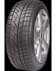 Шины 225/55 R16 EW66 99H XL Evergreen