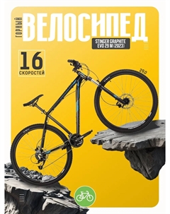 Горный велосипед Graphite Evo 29 M, год 2023, цвет Черный, ростовка 18 Stinger