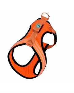 Ошейники, шлейки Tappi амуниция