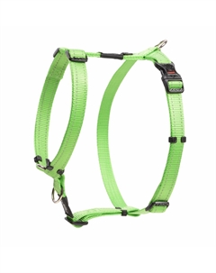 Ошейники, шлейки Rogz