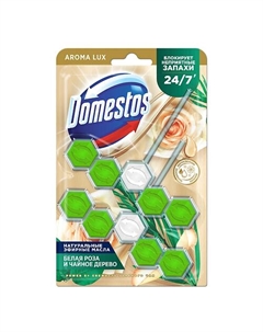 Блок для очищения унитаза POWER 5 ЗЕЛЁНЫЙ ЧАЙ Дуо Domestos