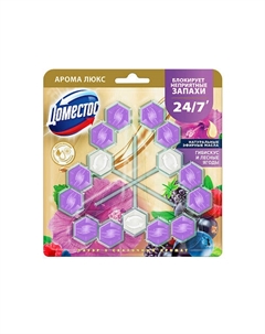 Блок для очищения унитаза POWER 5+ СКАЗОЧНЫЙ АРОМАТ Трио Domestos