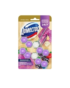 Блок для очищения унитаза POWER 5+ СКАЗОЧНЫЙ АРОМАТ Дуо Domestos
